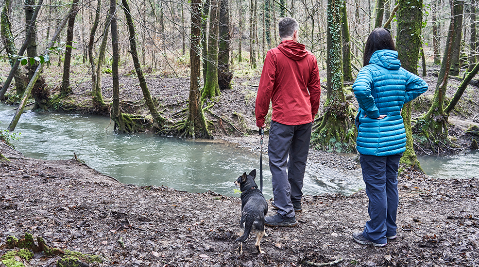 Patrick and Steph take Rosie for a walk in Forest of Dean